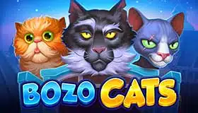 Bozo Cats pacanele demo