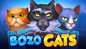 Bozo Cats Demo Slot