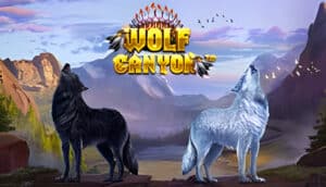Wolf Canyon: Hold & Win Demo Slot
