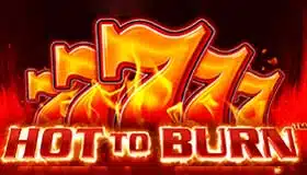 Hot to Burn pacanele demo