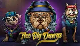 pacanele gratis The big dawgs