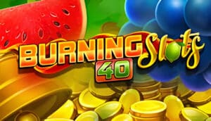 Burning Slots 40 Demo Slot