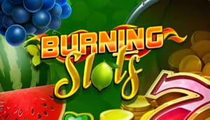 Burning Slots Demo Slot