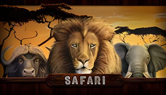 Safari pacanele demo