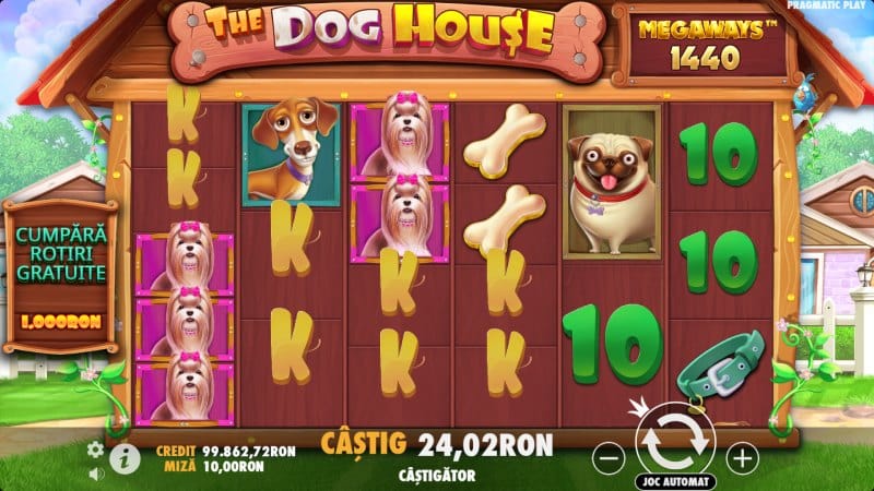 cum se joaca The Dog House Megaways