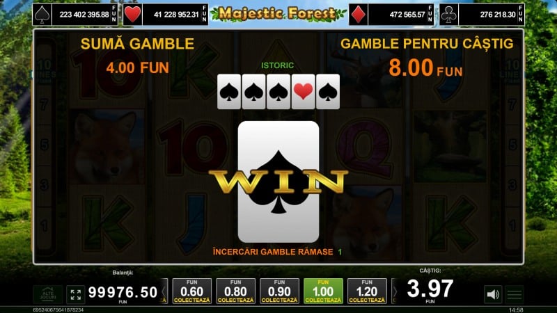 gamble majestic forest