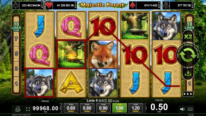 wild majestic forest