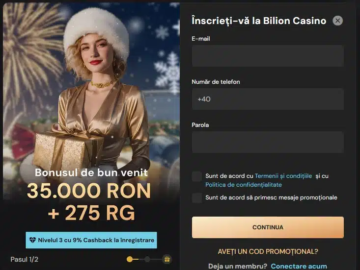 Inregistrare bilion (1)