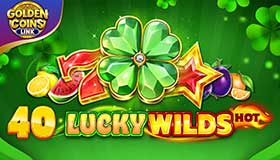 40 Lucky Wilds Hot Golden Coins Link - joc pacanele demo gratis